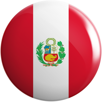 Countries Flag of the America Continent Pin Button Badge